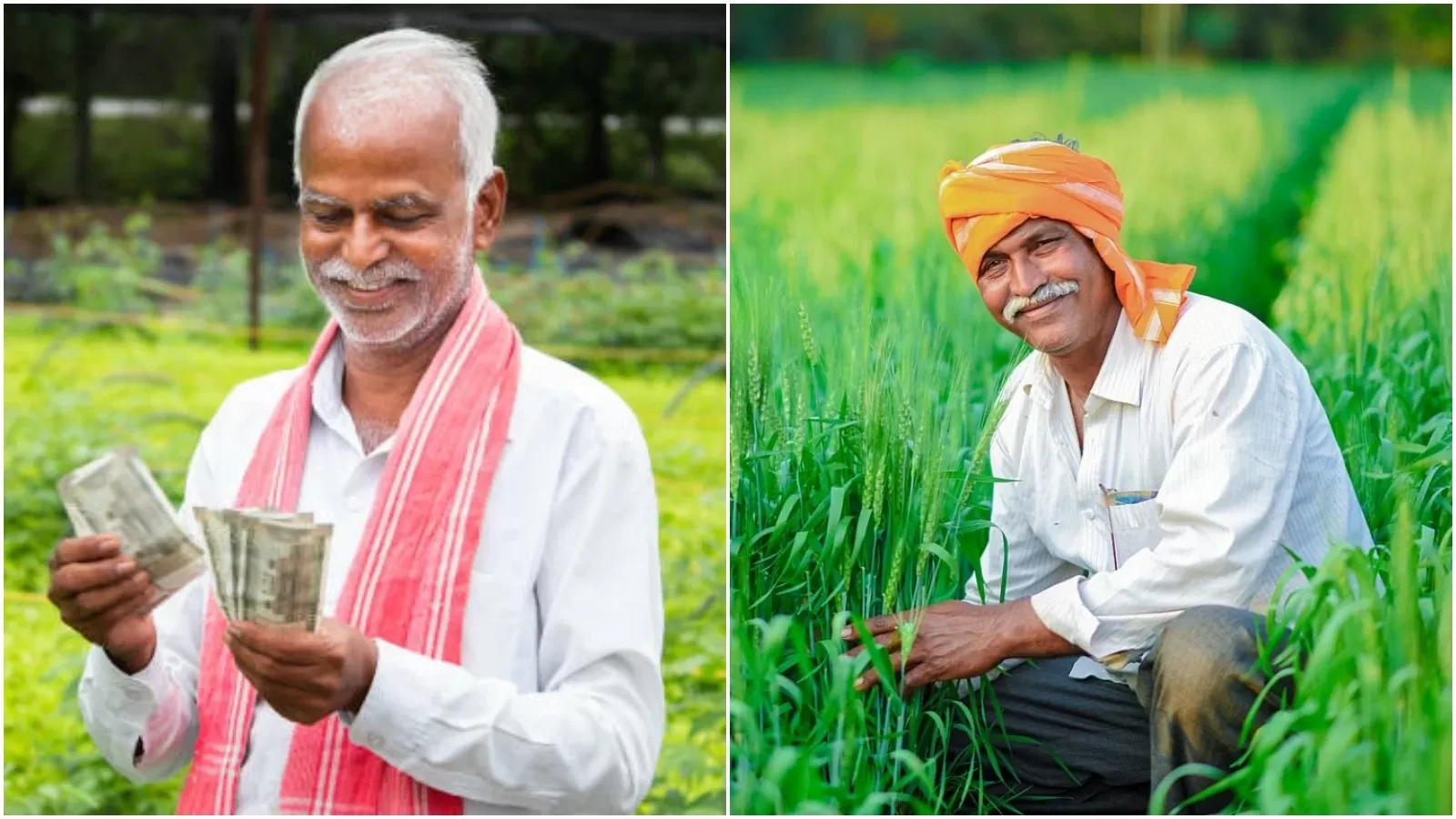 ರೈತರಿಗೆ ಗುಡ್ ನ್ಯೂಸ್: ಖಾತೆಗೆ ಬೆಳೆ ಹಾನಿ ಪರಿಹಾರ ಜಮಾ.!